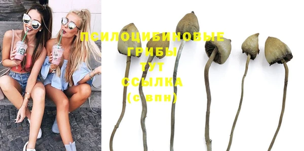 тгк Белокуриха