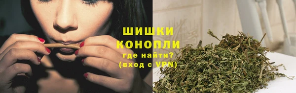 тгк Белокуриха