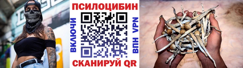 Псилоцибиновые грибы Psilocybine cubensis  Бородино 